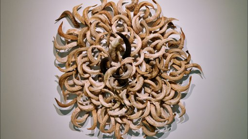 Kader Attia artwork of a collection of tusks