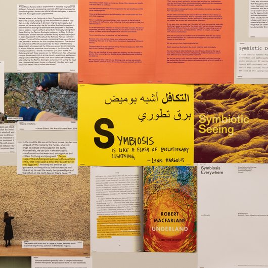 A collection of documents surround a yellow paper in the middle that has the word 'Symbiosis' written on it.