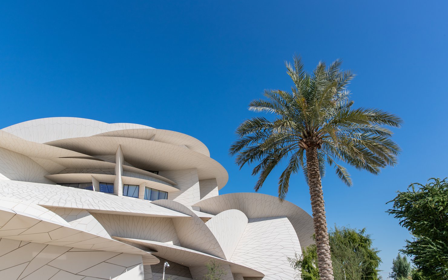 An exterior shot of the National Museum of Qatar and one of the surrounding palm trees