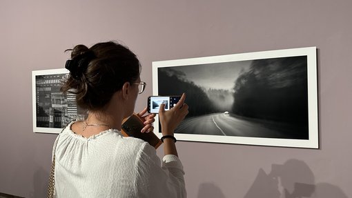 Cosar Kulaksiz Lady viewing photography in gallery