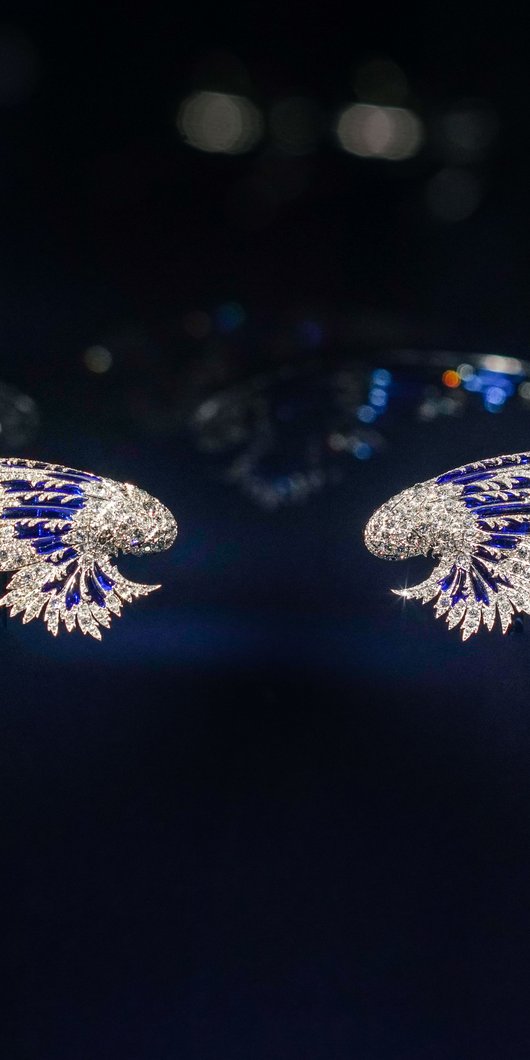 Fine Jewelry shaped as wings