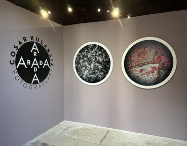 Cosar Kulaksiz Gallery view