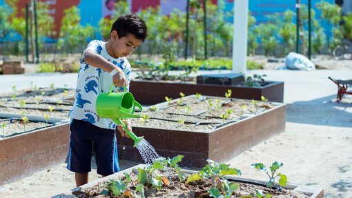A little boy watering plants in a garden