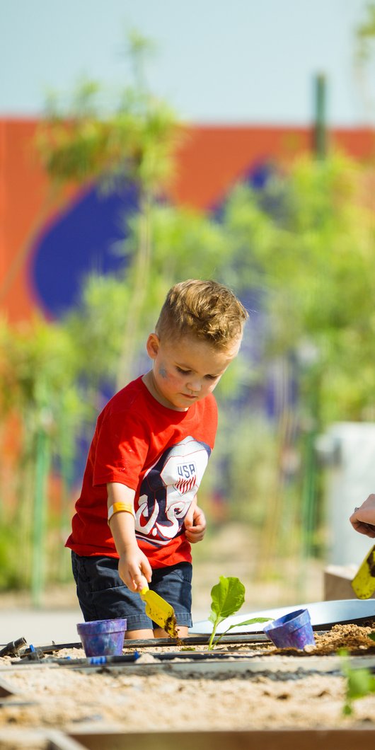 A picture of a mother and her two boys planting in a garden