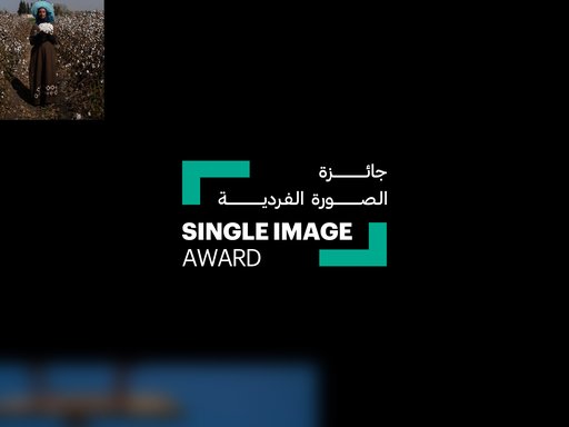 Single Image award
