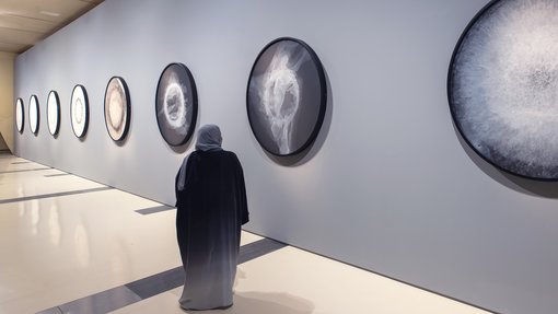 A collection of circular artworks that display x-ray photos.