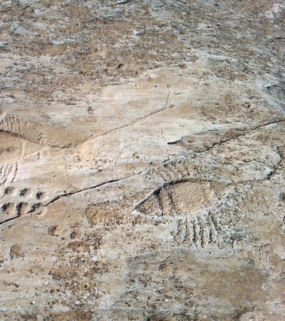 Three sets of rock carvings in a sand coloured stone comprising a series of small circular shapes, two parallel lines, and two additional boats