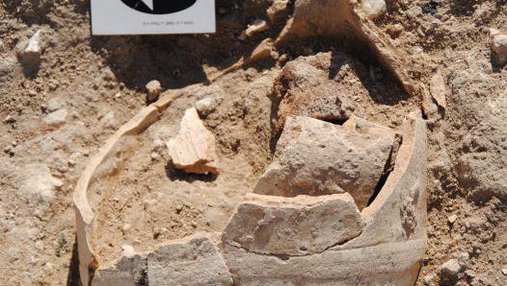 Excavation found fossils in the desert