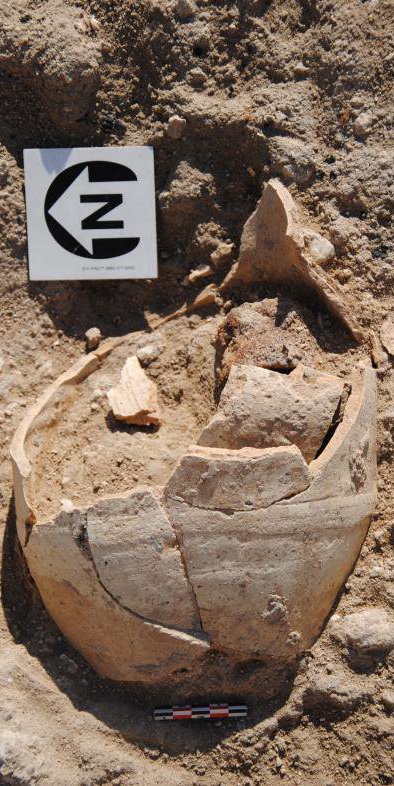 Excavation found fossils in the desert