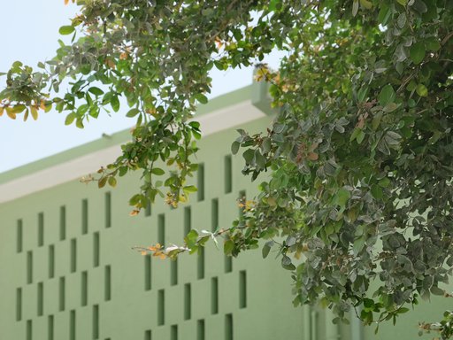 Green wall with narrow holes for sunlight and tree in the foreground.
