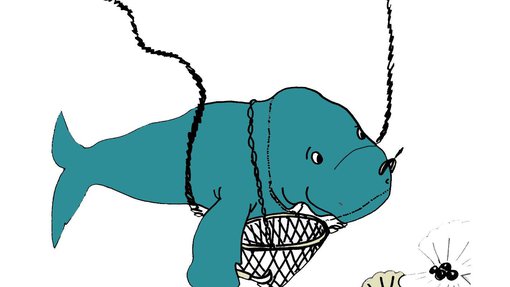An illustration of a dugong pearl diving with a creel around its neck