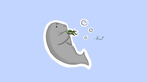 A dugong eating seaweed illustrated by Karola Szabo