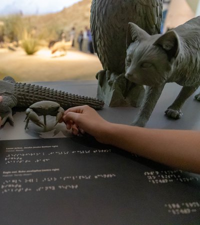 Children reaching out and touching tactile stations with braille and textures at NMoQ