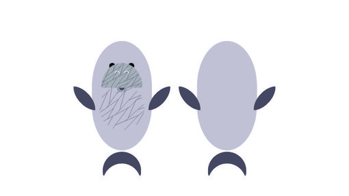 An illustration of a dugong's front, back and side profiles by Martina Corsano