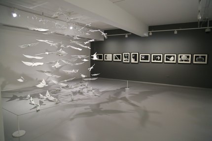 An art installation of doves at Mathaf: Arab Museum of Modern Art