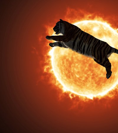 A tiger leaps across a burning sun.