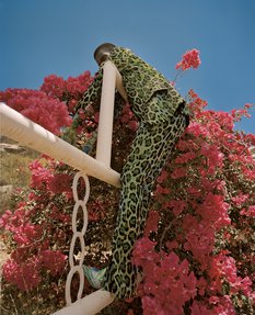 A man dressed in a leopard print suit, stands on a white gate against a backdrop of a pink bougainvillea plant.