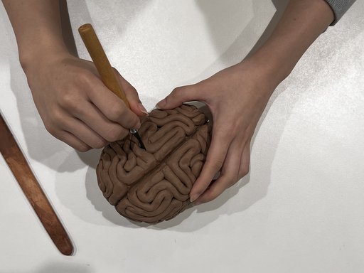 Clay carving of a human brain