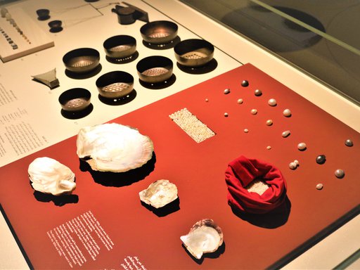 Display of a variety of pearls and oyster shells