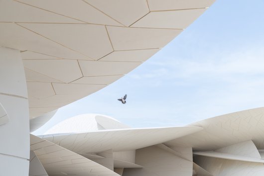 Bird flying over the National Museum of Qatar