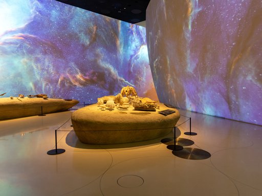 Interior of a gallery space at the National Museum of Qatar with galaxy projection on the walls