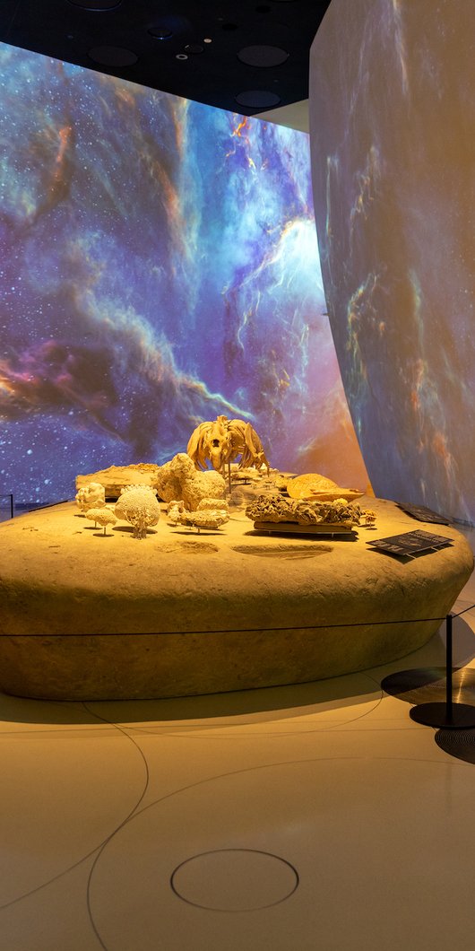 Interior of a gallery space at the National Museum of Qatar with galaxy projection on the walls