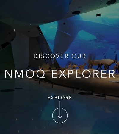 Screenshot from the NMOQ Explorer digital platform