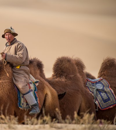 A man wearing a hat is riding a camel, behind him several camels follow