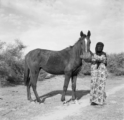 A woman wearing a niqab standing next to a horse with bushes and a cloudy sky in the background