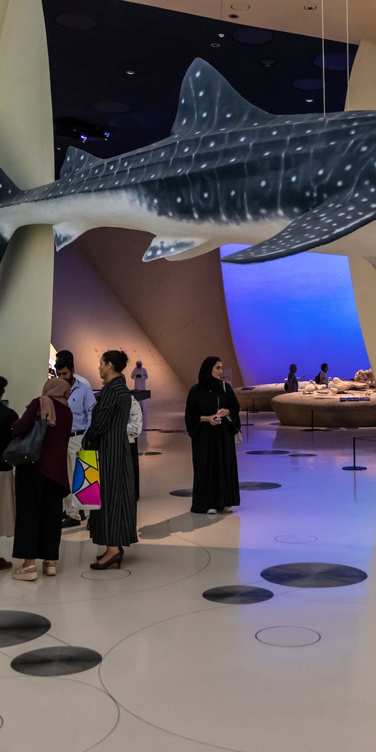 Interior of a gallery space at the National Museum of Qatar showcasing aquatic life in Qatar