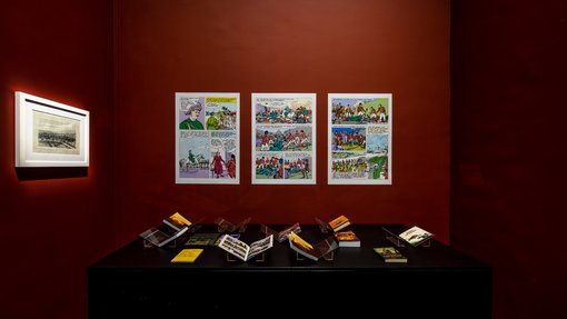 A collection of books and comics for 'One Tiger or Another' exhibition