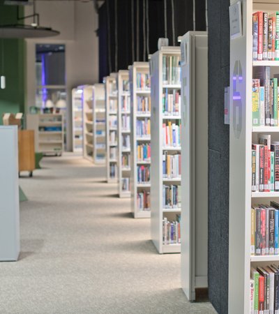 Rows of books are seen in stacked shelves.