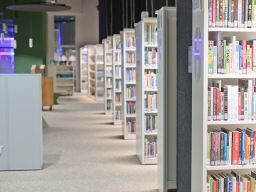 Rows of books are seen in stacked shelves.