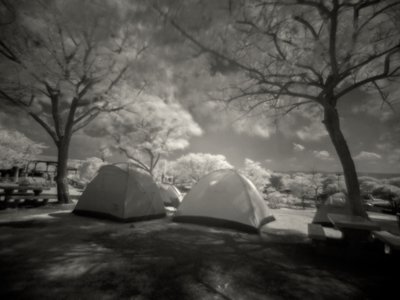 Two domed tents sit in a landscape with trees either side.