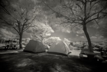 Two domed tents sit in a landscape with trees either side.