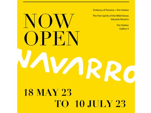 Navarro_exhibition